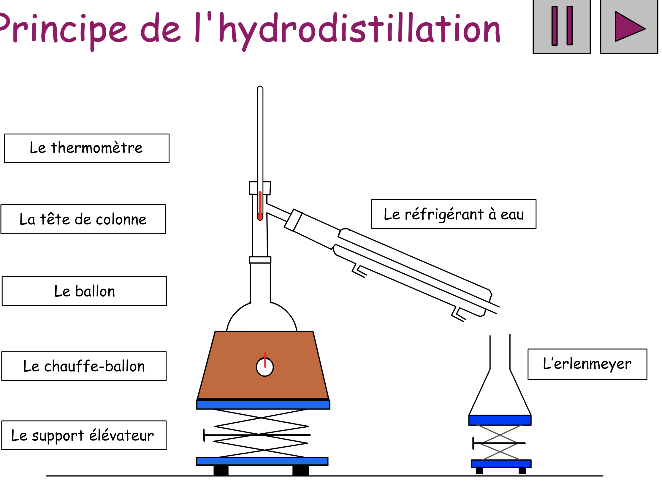 Hydrodistillation